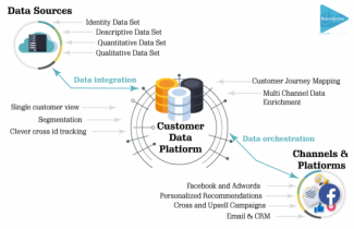 cdp and marketing automation