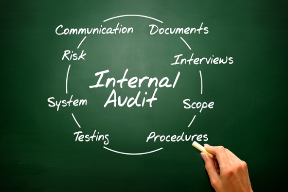 Internal Audit Process